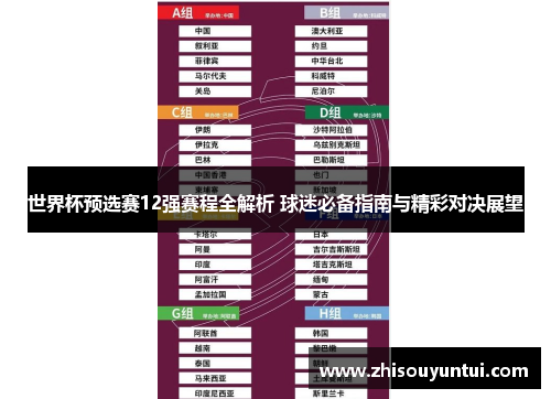 世界杯预选赛12强赛程全解析 球迷必备指南与精彩对决展望